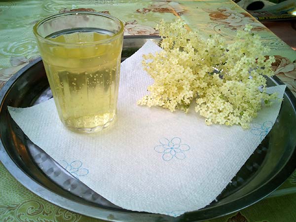 Sirop-de-soc